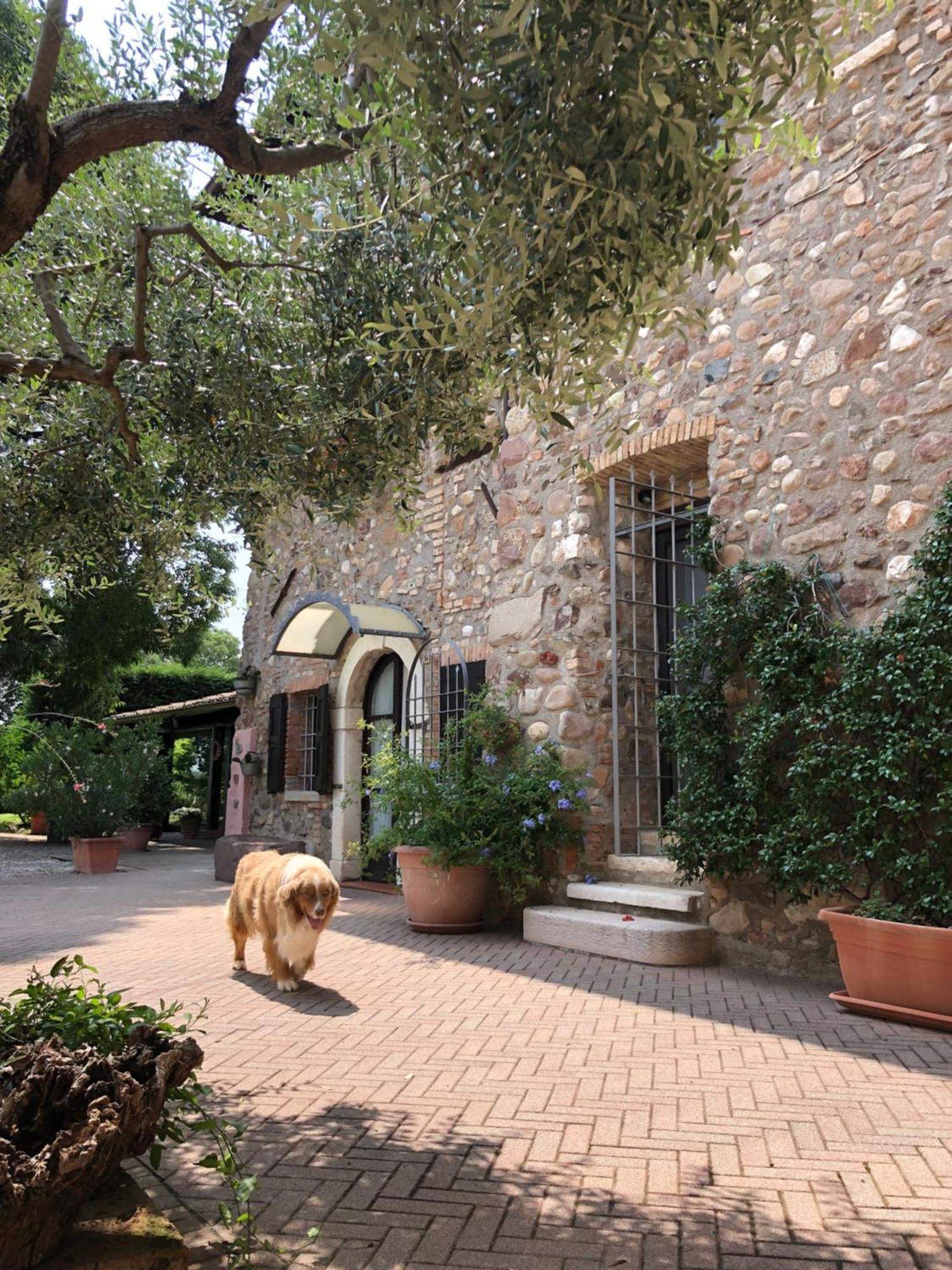 B&B Cascina Mattarelle Monzambano Exterior foto