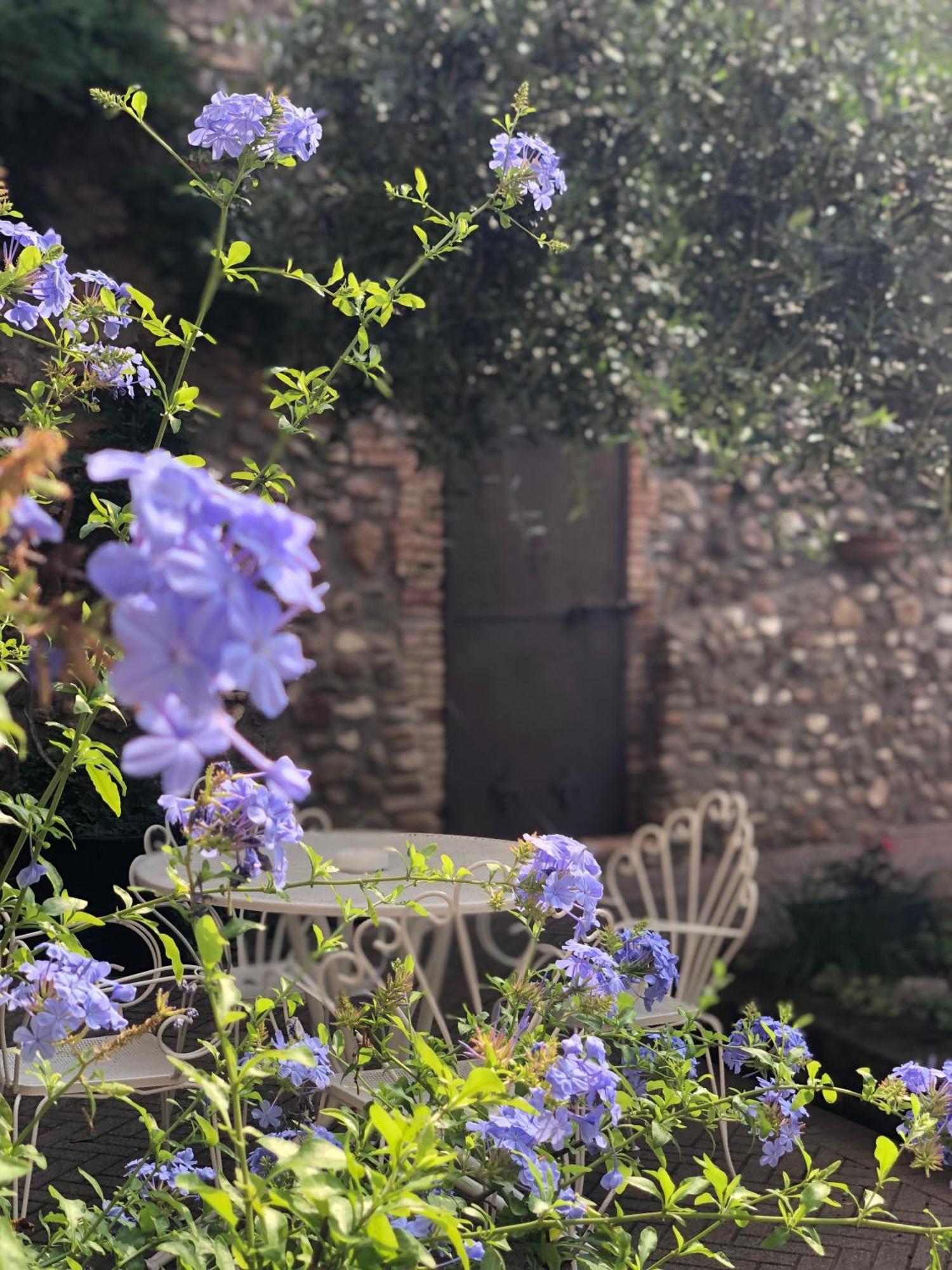 B&B Cascina Mattarelle Monzambano Exterior foto